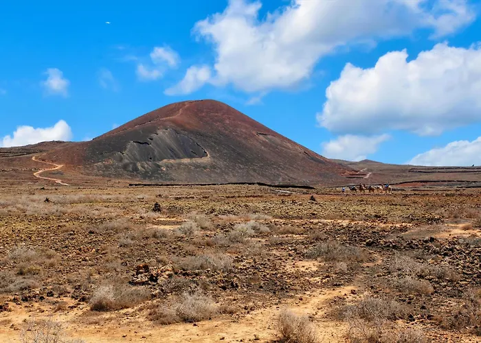 Vanilla Ocean Dom wakacyjny *